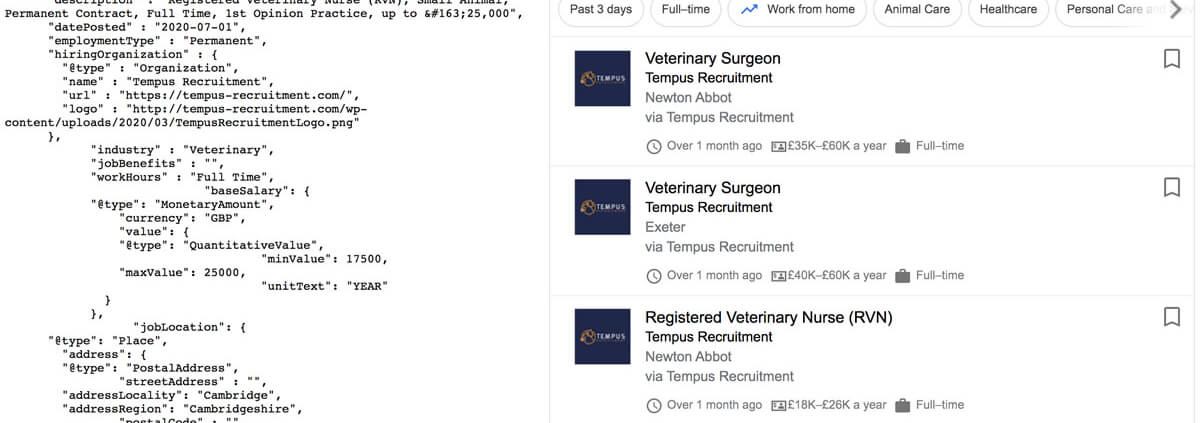 Tempus Recruitment Schema Markup and SERP