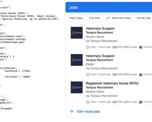 Tempus Recruitment Schema Markup and SERP
