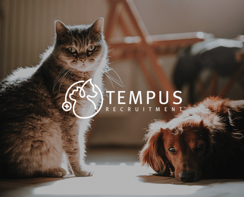 Tempus Veterinary Recruitment